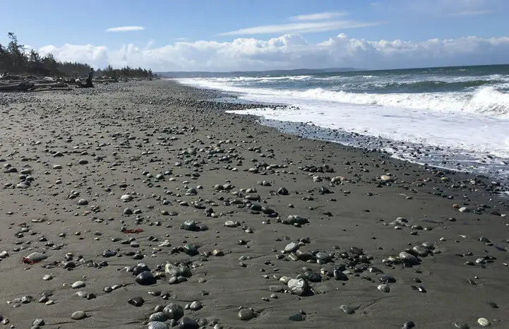 A beach with many rocks on the shore